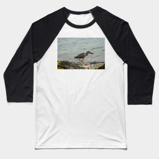 Black-crowned night heron of hawaii 9 Baseball T-Shirt